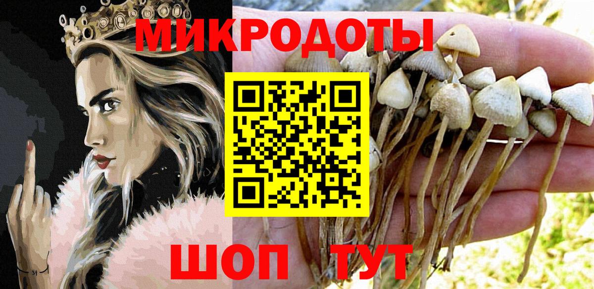 купить наркоту  Галлюциногенные грибы Magic Shrooms  Вход с VPN  Дзержинск 