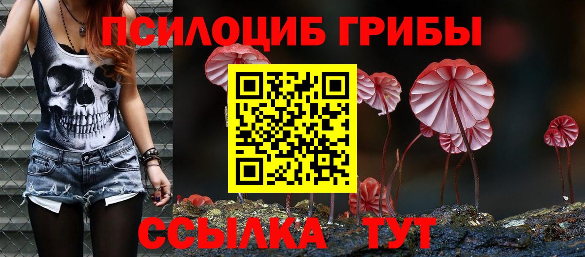 Псилоцибиновые грибы мухоморы Дзержинск
